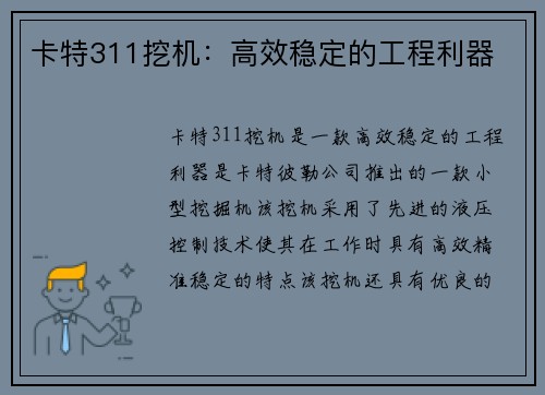 卡特311挖机：高效稳定的工程利器