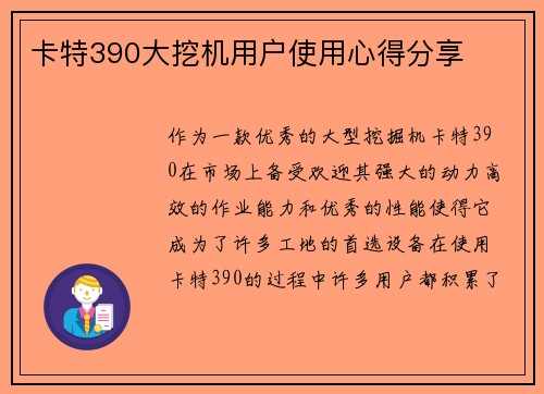 卡特390大挖机用户使用心得分享